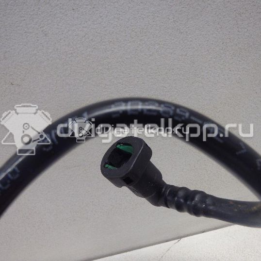 Фото Трубка вакуумная  3M519D289AE для Ford Focus / C-Max