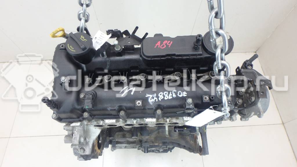 Фото Контрактный (б/у) двигатель D4HA для Hyundai / Kia 136-185 л.с 16V 2.0 л Дизельное топливо Z62312FZ00 {forloop.counter}}