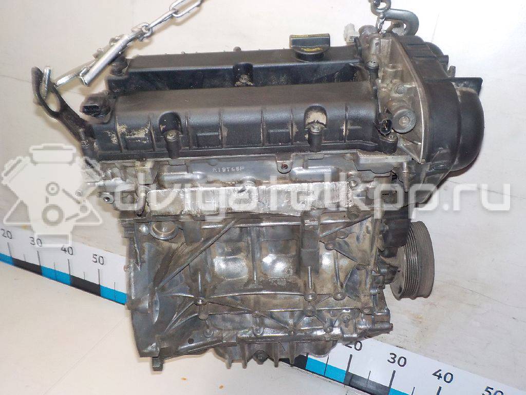 Фото Контрактный (б/у) двигатель CT для Volkswagen / Ford (Changan) 110 л.с 16V 1.5 л бензин 1727626 {forloop.counter}}