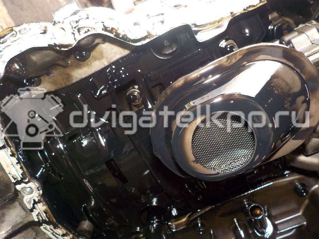 Фото Контрактный (б/у) двигатель  для ford Kuga  V   1700240 {forloop.counter}}