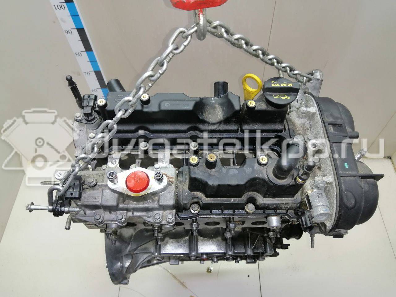 Фото Контрактный (б/у) двигатель JTDA для Ford Focus 182 л.с 16V 1.6 л бензин DS7Z6007U {forloop.counter}}