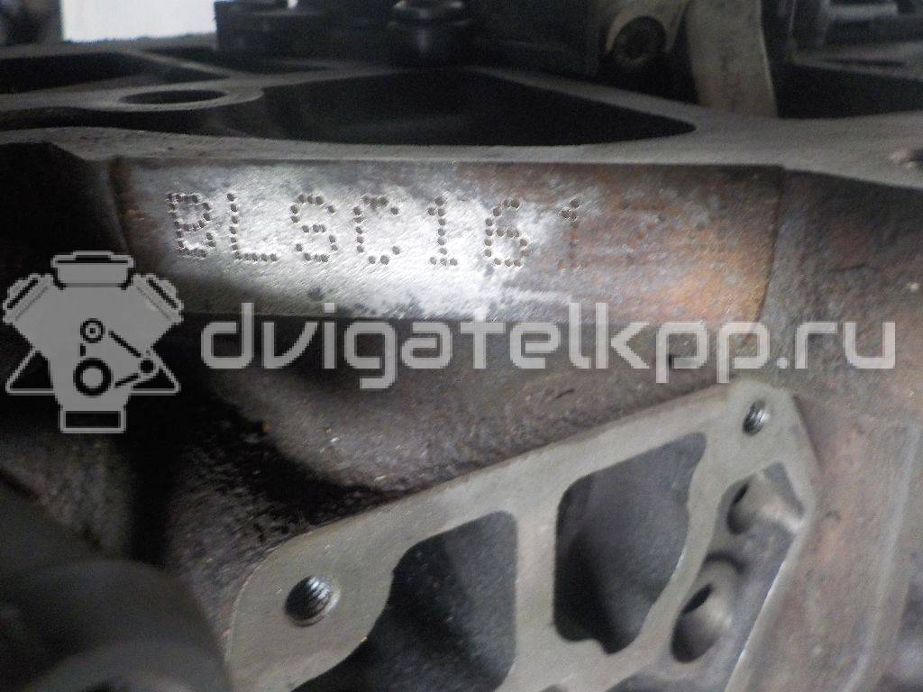 Фото Контрактный (б/у) двигатель BLS для Volkswagen / Seat 105 л.с 8V 1.9 л Дизельное топливо 03G100037H {forloop.counter}}