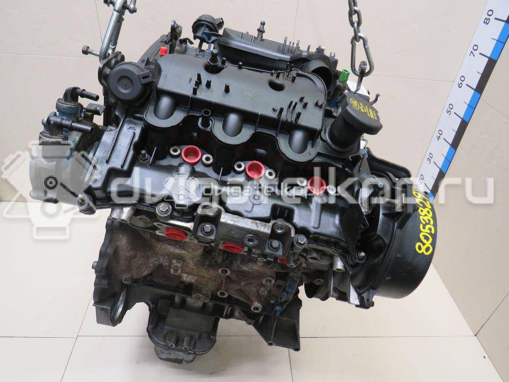 Фото Контрактный (б/у) двигатель 276DT для Ford Australia / Land Rover 190 л.с 24V 2.7 л Дизельное топливо LR004729 {forloop.counter}}