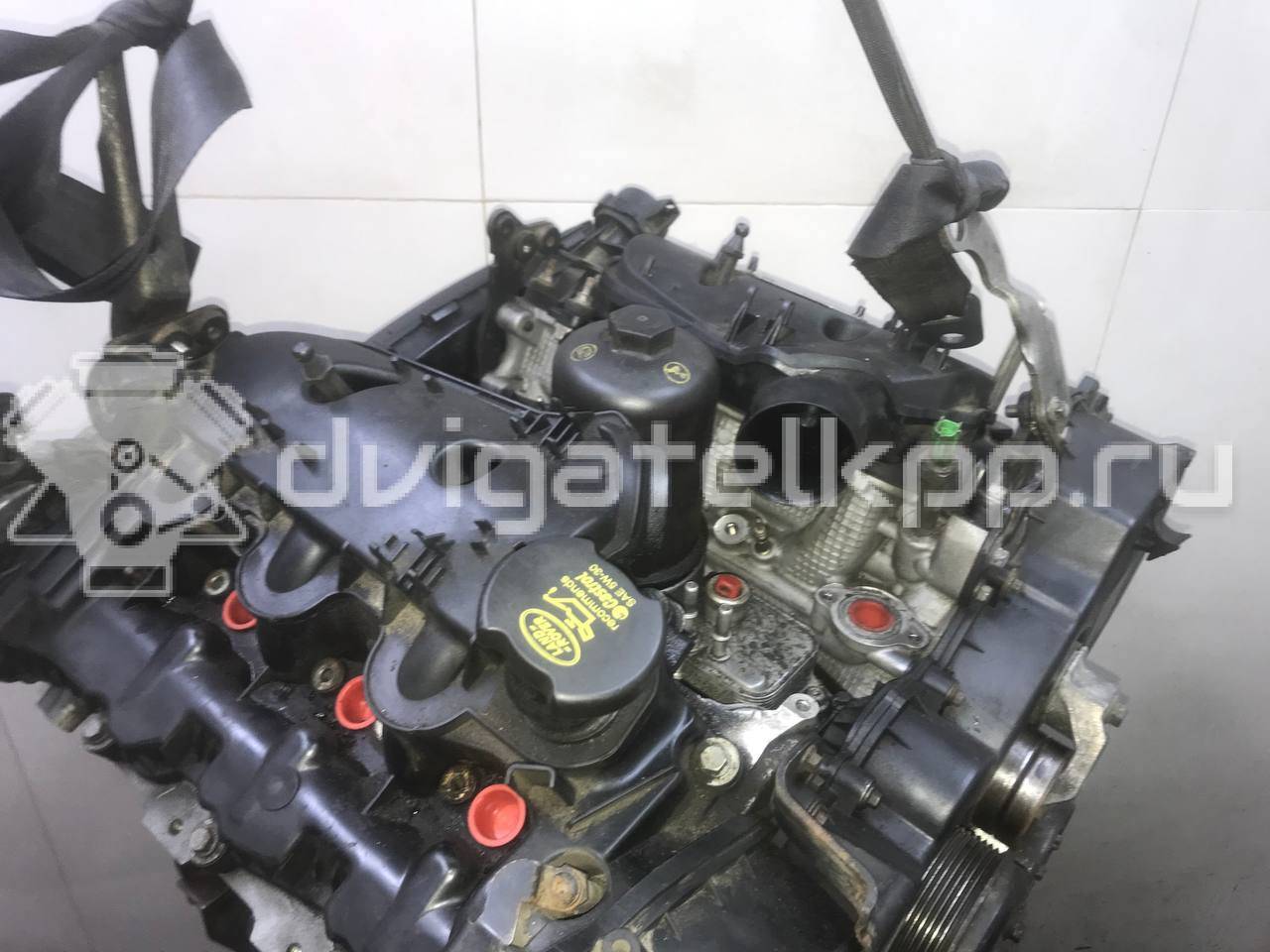 Фото Контрактный (б/у) двигатель 276DT для Ford Australia / Land Rover 190 л.с 24V 2.7 л Дизельное топливо LR004729 {forloop.counter}}