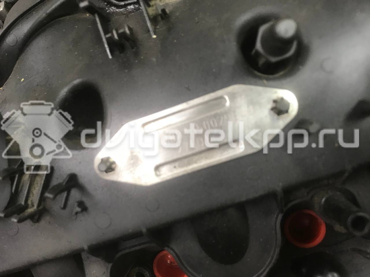 Фото Контрактный (б/у) двигатель 276DT для Ford Australia / Land Rover 190 л.с 24V 2.7 л Дизельное топливо LR004729 {forloop.counter}}