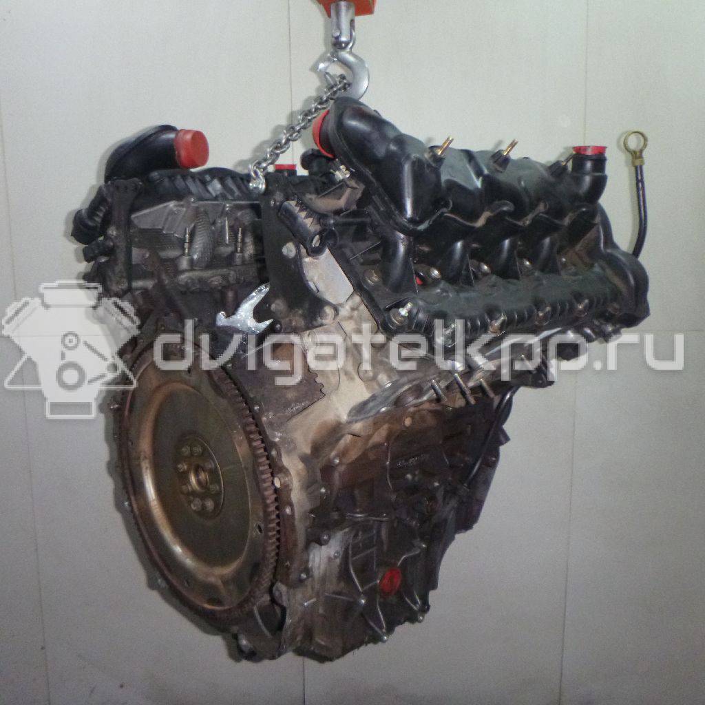 Фото Контрактный (б/у) двигатель 368DT для Land Rover Range Rover 272 л.с 32V 3.6 л Дизельное топливо LR006676 {forloop.counter}}