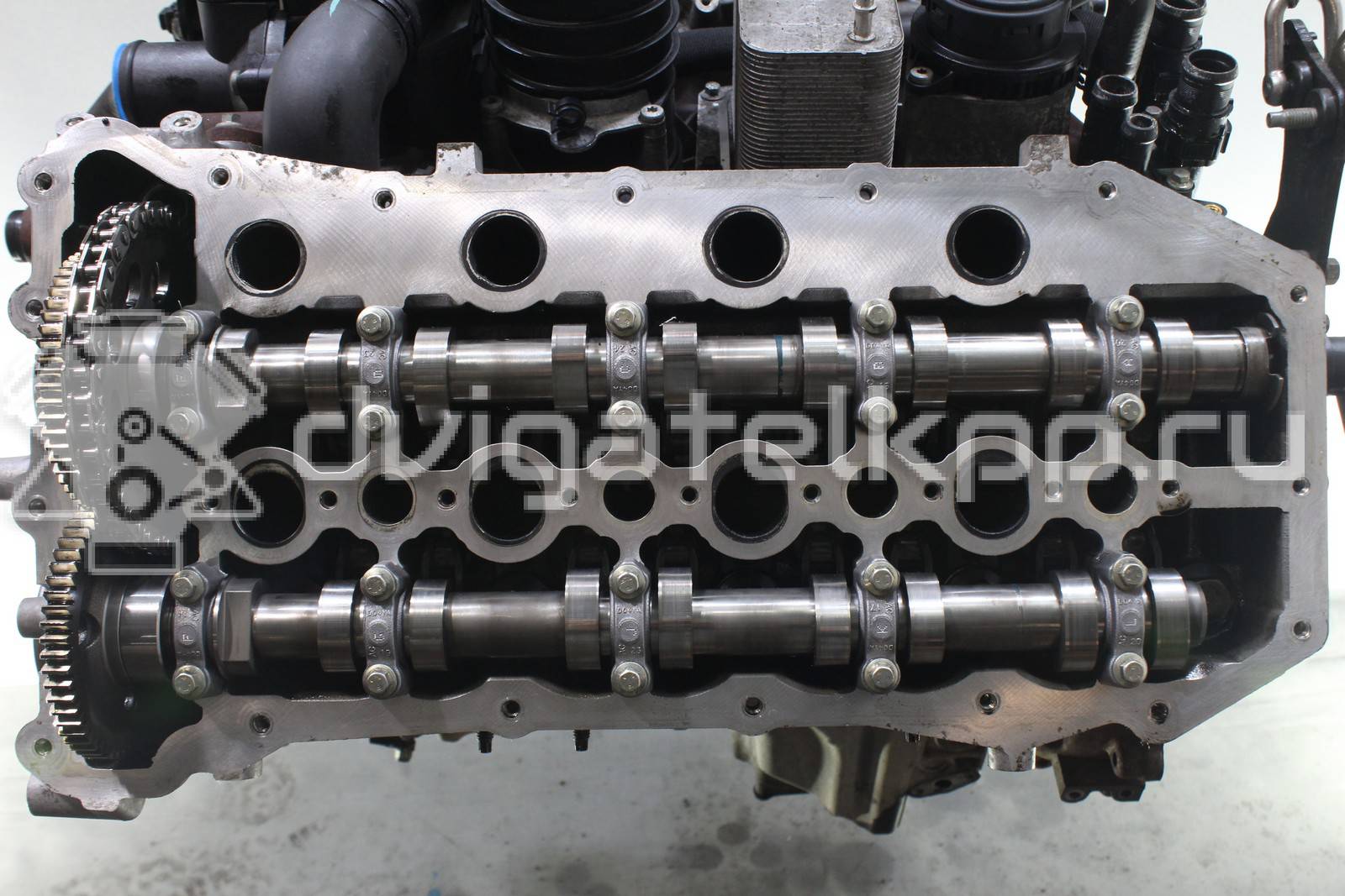 Фото Контрактный (б/у) двигатель  для land rover Range Rover Sport  V   LR006675 {forloop.counter}}