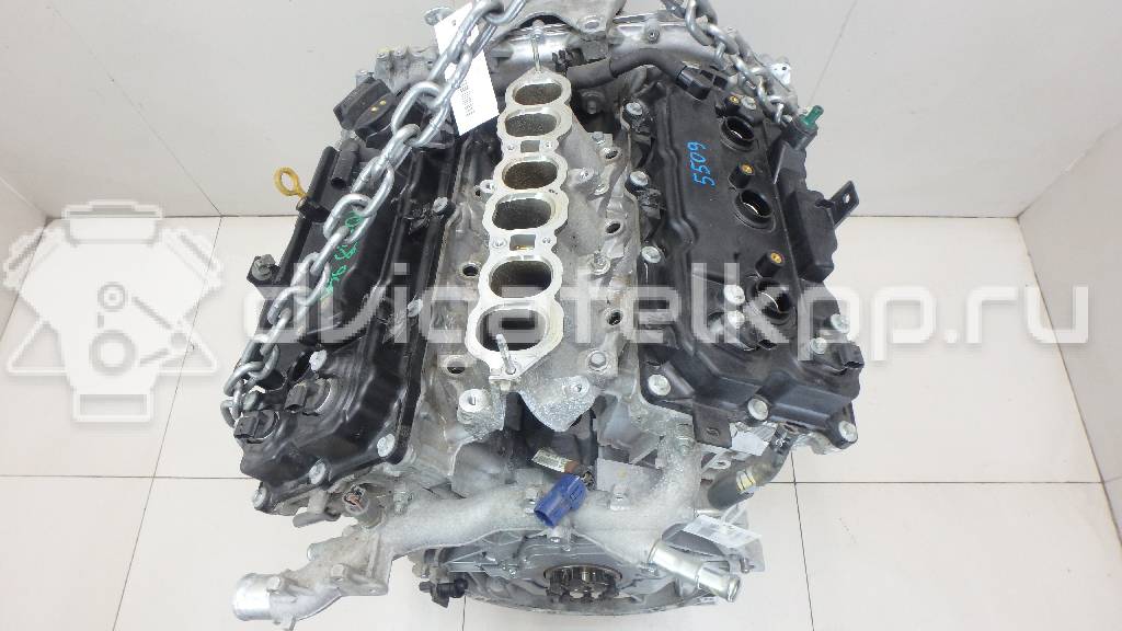 Фото Контрактный (б/у) двигатель VQ35DE для Infiniti / Mitsuoka / Isuzu / Nissan / Nissan (Dongfeng) 231-310 л.с 24V 3.5 л бензин 10102JKP0A {forloop.counter}}