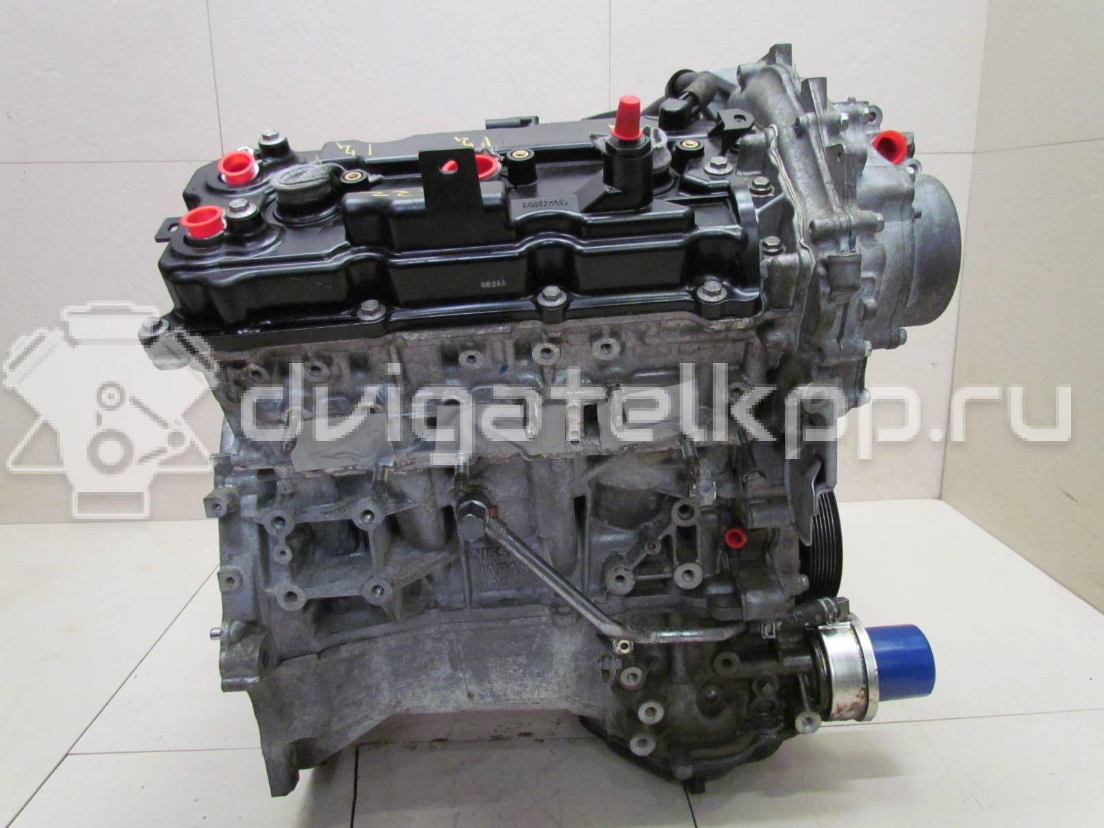 Фото Контрактный (б/у) двигатель VQ35DE для Infiniti / Mitsuoka / Isuzu / Nissan / Nissan (Dongfeng) 218-258 л.с 24V 3.5 л бензин 10102JKP0A {forloop.counter}}