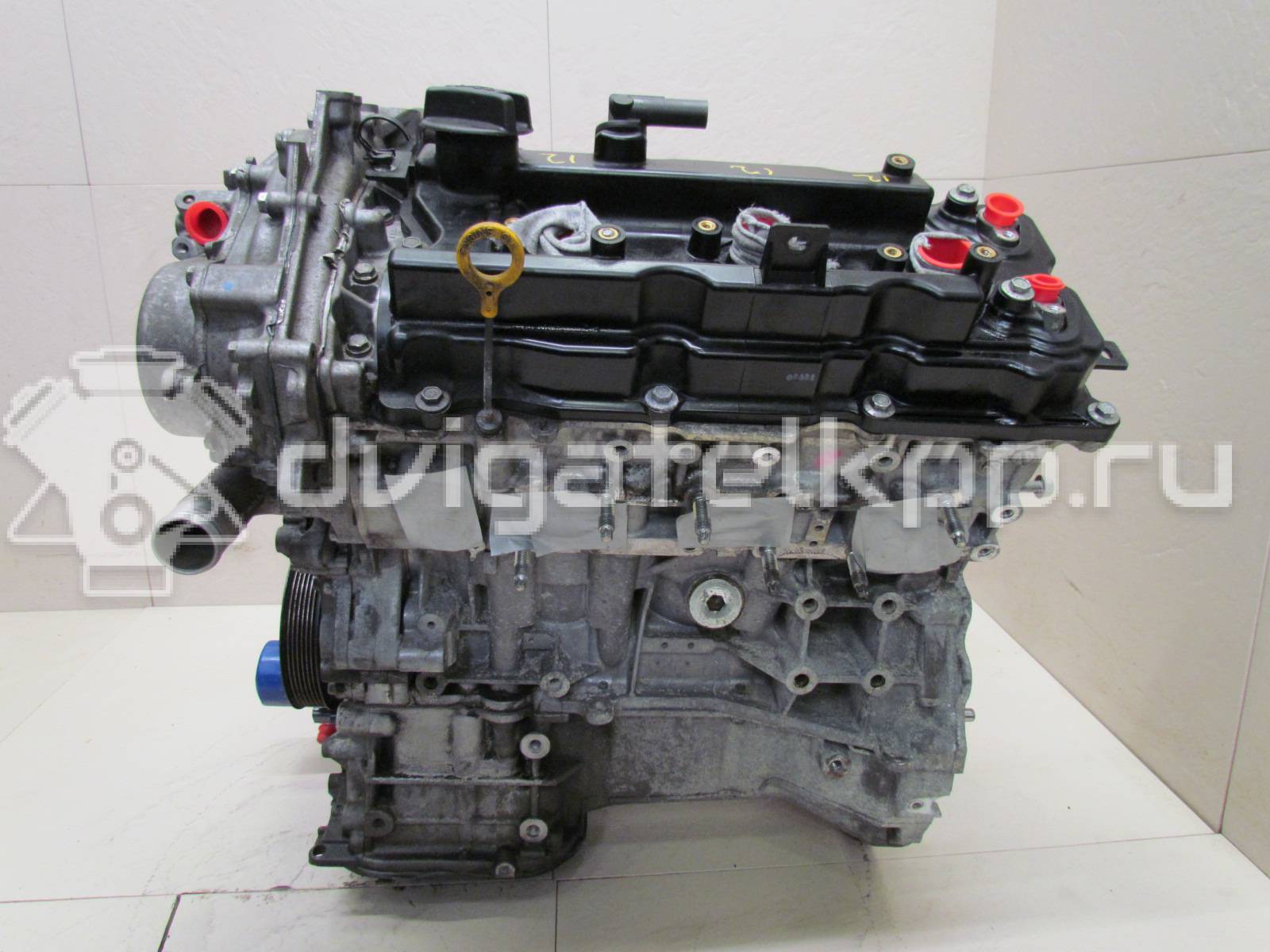 Фото Контрактный (б/у) двигатель VQ35DE для Infiniti / Mitsuoka / Isuzu / Nissan / Nissan (Dongfeng) 218-258 л.с 24V 3.5 л бензин 10102JKP0A {forloop.counter}}