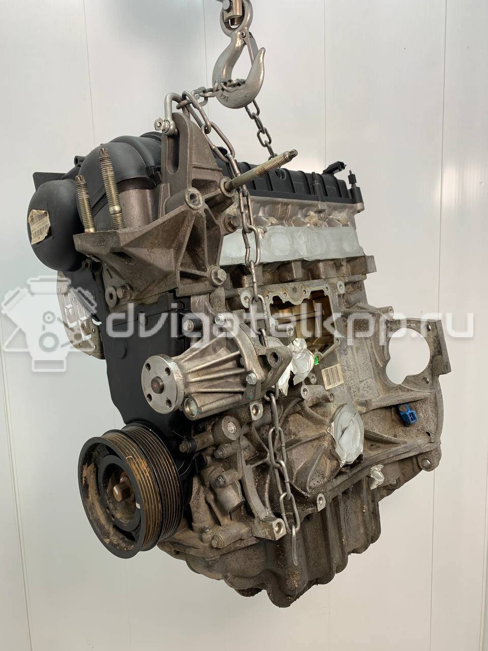 Фото Контрактный (б/у) двигатель PNDA для Ford / Ford Australia 125 л.с 16V 1.6 л бензин 1727626 {forloop.counter}}