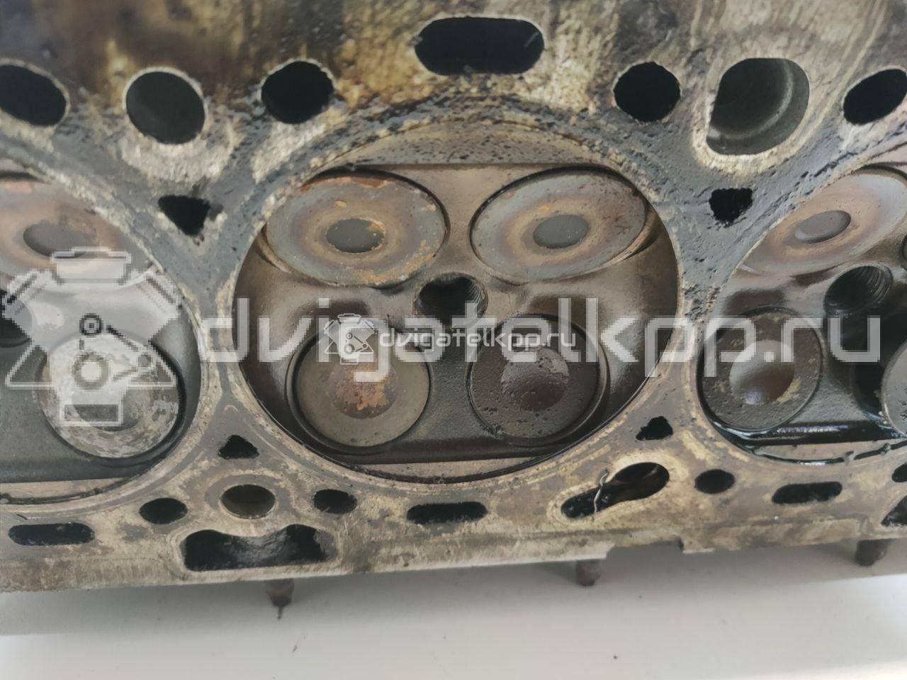 Фото Головка блока  55565451 для Vauxhall / Saturn / Chevrolet / Holden / Daewoo / Opel / Chevrolet (Sgm) {forloop.counter}}