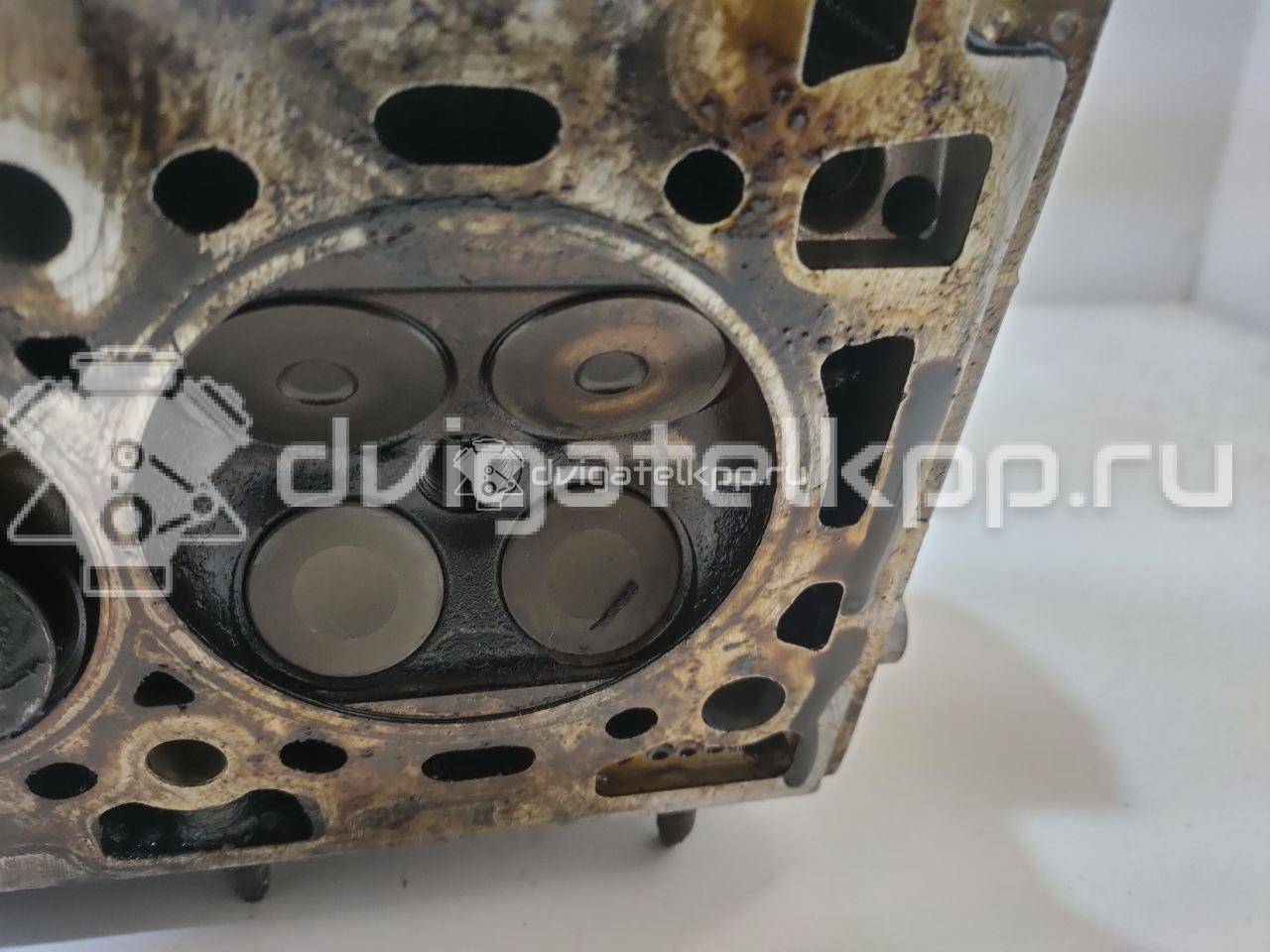 Фото Головка блока  55565451 для Vauxhall / Saturn / Chevrolet / Holden / Daewoo / Opel / Chevrolet (Sgm) {forloop.counter}}