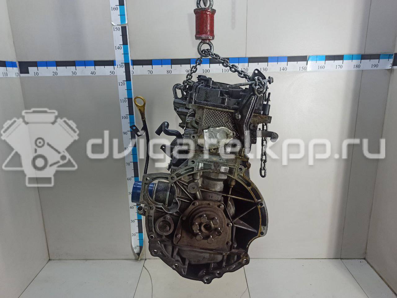 Фото Контрактный (б/у) двигатель PNDA для Ford Australia Focus 125 л.с 16V 1.6 л бензин 1727626 {forloop.counter}}