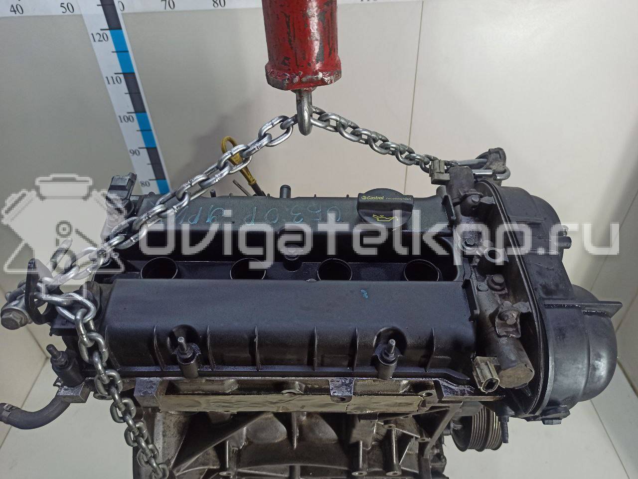 Фото Контрактный (б/у) двигатель PNDA для Ford Australia Focus 125 л.с 16V 1.6 л бензин 1727626 {forloop.counter}}