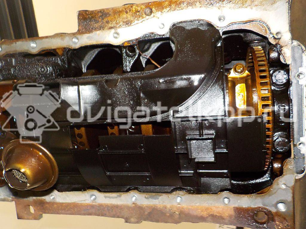 Фото Контрактный (б/у) двигатель AWT для Volkswagen Passat 150 л.с 20V 1.8 л бензин 06B100098JX {forloop.counter}}