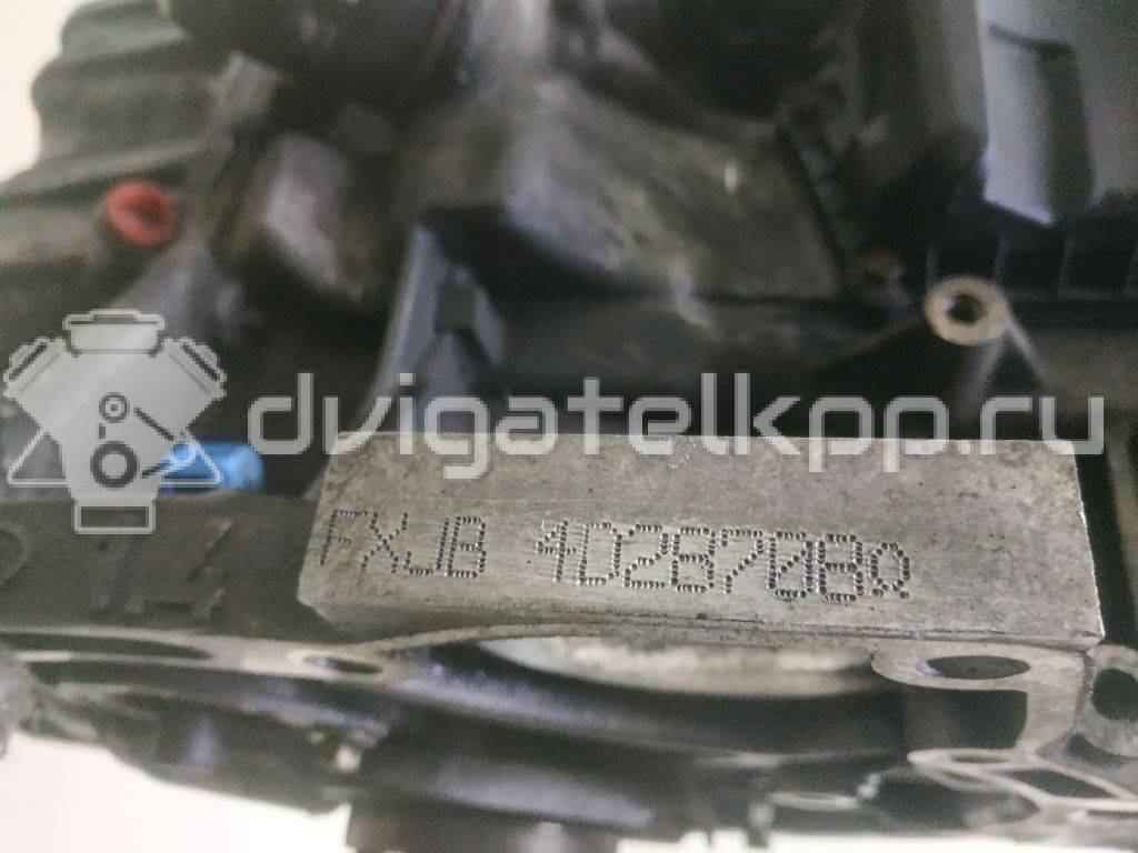 Фото Контрактный (б/у) двигатель ASDB для Ford Focus 80 л.с 16V 1.4 л бензин 1867920 {forloop.counter}}