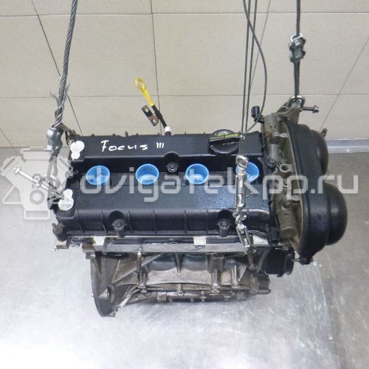 Фото Контрактный (б/у) двигатель PNDA для Ford Australia Focus 125 л.с 16V 1.6 л бензин 1752082