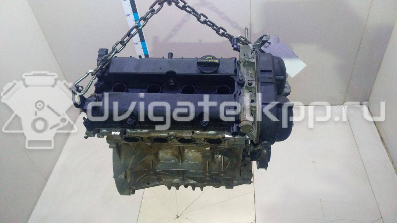 Фото Контрактный (б/у) двигатель PNDA для Ford / Ford Australia 125 л.с 16V 1.6 л бензин 1752082 {forloop.counter}}