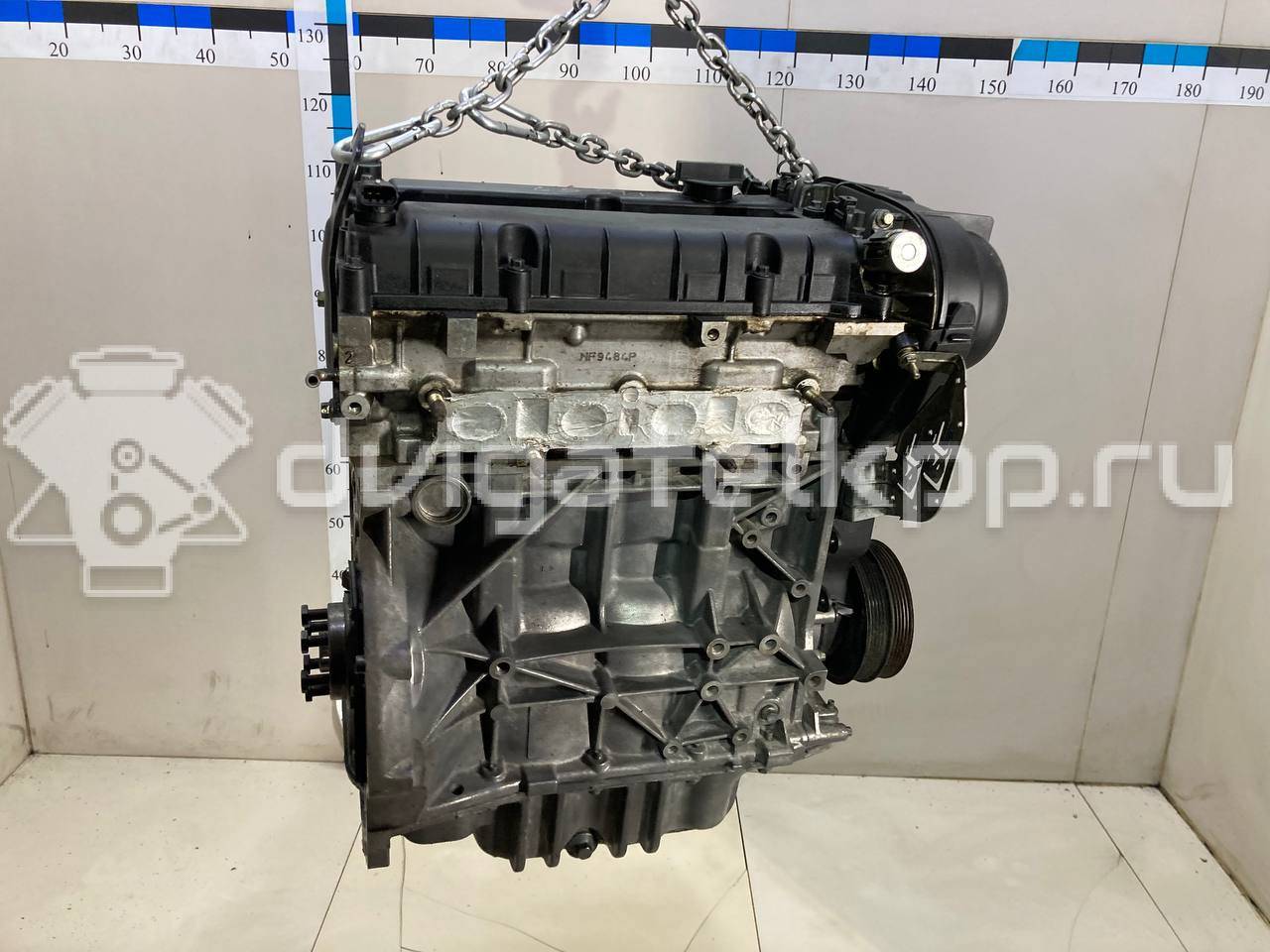 Фото Контрактный (б/у) двигатель PNDA для Ford / Ford Australia 125 л.с 16V 1.6 л бензин 1727626 {forloop.counter}}