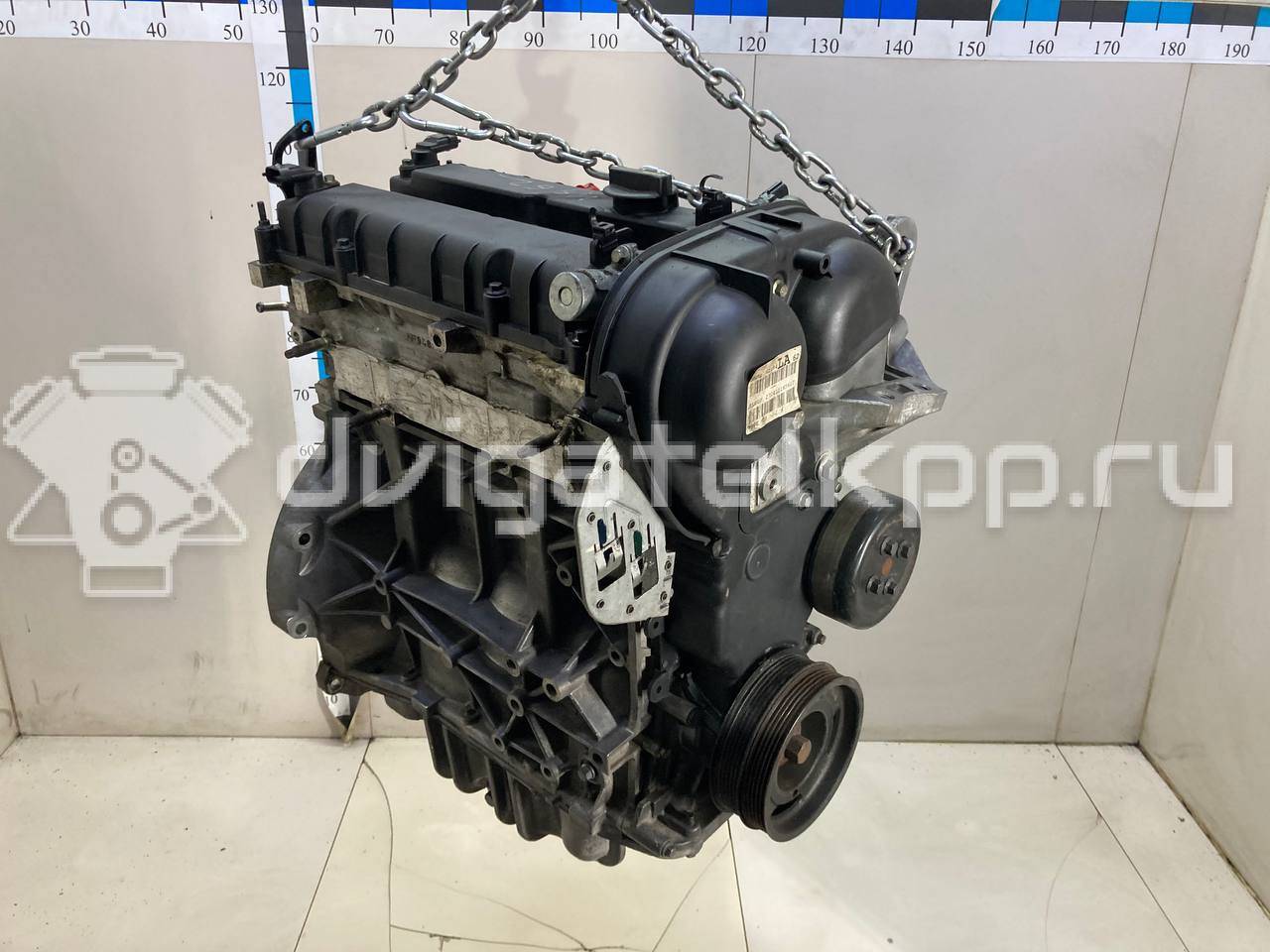 Фото Контрактный (б/у) двигатель PNDA для Ford Australia Focus 125 л.с 16V 1.6 л бензин 1727626 {forloop.counter}}