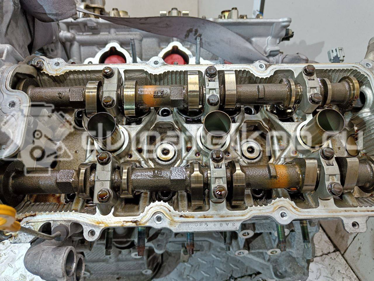 Фото Контрактный (б/у) двигатель VQ35DE для Infiniti / Mitsuoka / Isuzu / Nissan / Nissan (Dongfeng) 231-310 л.с 24V 3.5 л бензин 101029W2AF {forloop.counter}}