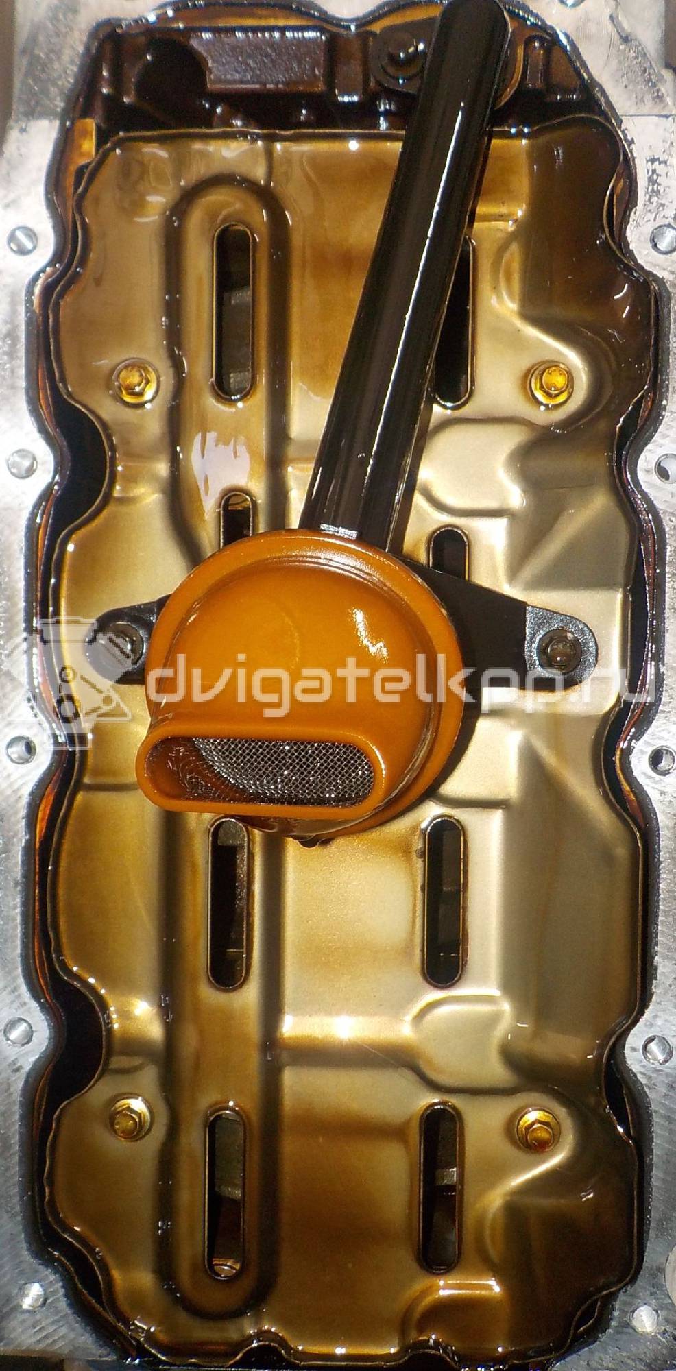 Фото Контрактный (б/у) двигатель BP (DOHC) для Mazda / Ford Australia / Eunos 103-125 л.с 16V 1.8 л бензин 1734722 {forloop.counter}}