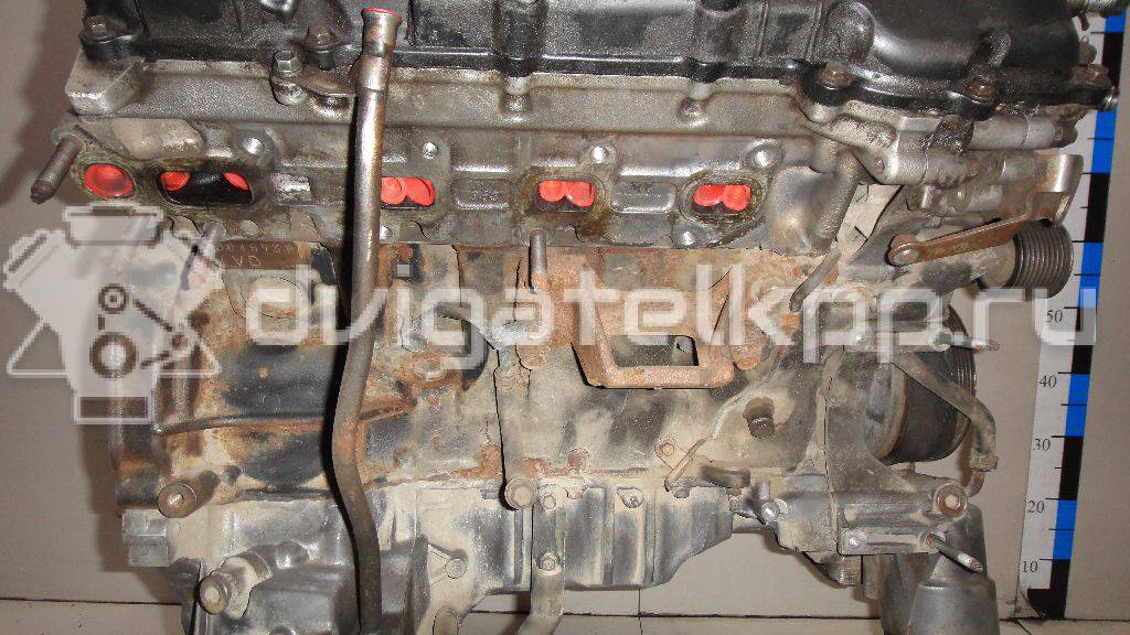 Фото Контрактный (б/у) двигатель 1VD-FTV для Toyota Land Cruiser 205-286 л.с 32V 4.5 л Дизельное топливо 1900051070 {forloop.counter}}