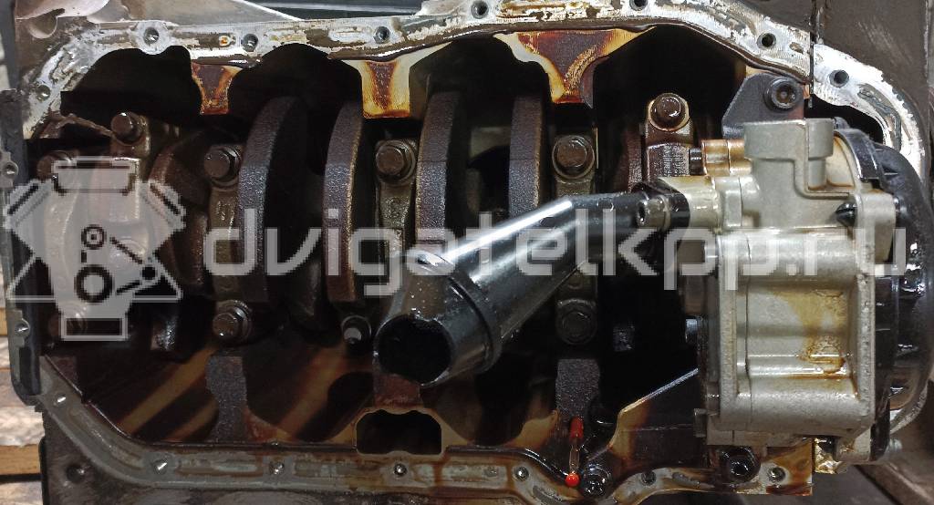 Фото Контрактный (б/у) двигатель CFNA для Skoda / Volkswagen 105 л.с 16V 1.6 л бензин 03C100092BX {forloop.counter}}