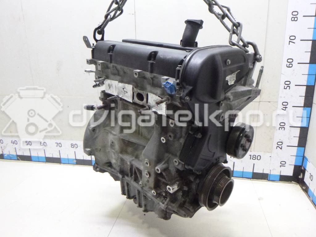 Фото Контрактный (б/у) двигатель FYJB для Ford / Ford Australia / Ford Asia / Oceania 100 л.с 16V 1.6 л бензин 1571097 {forloop.counter}}