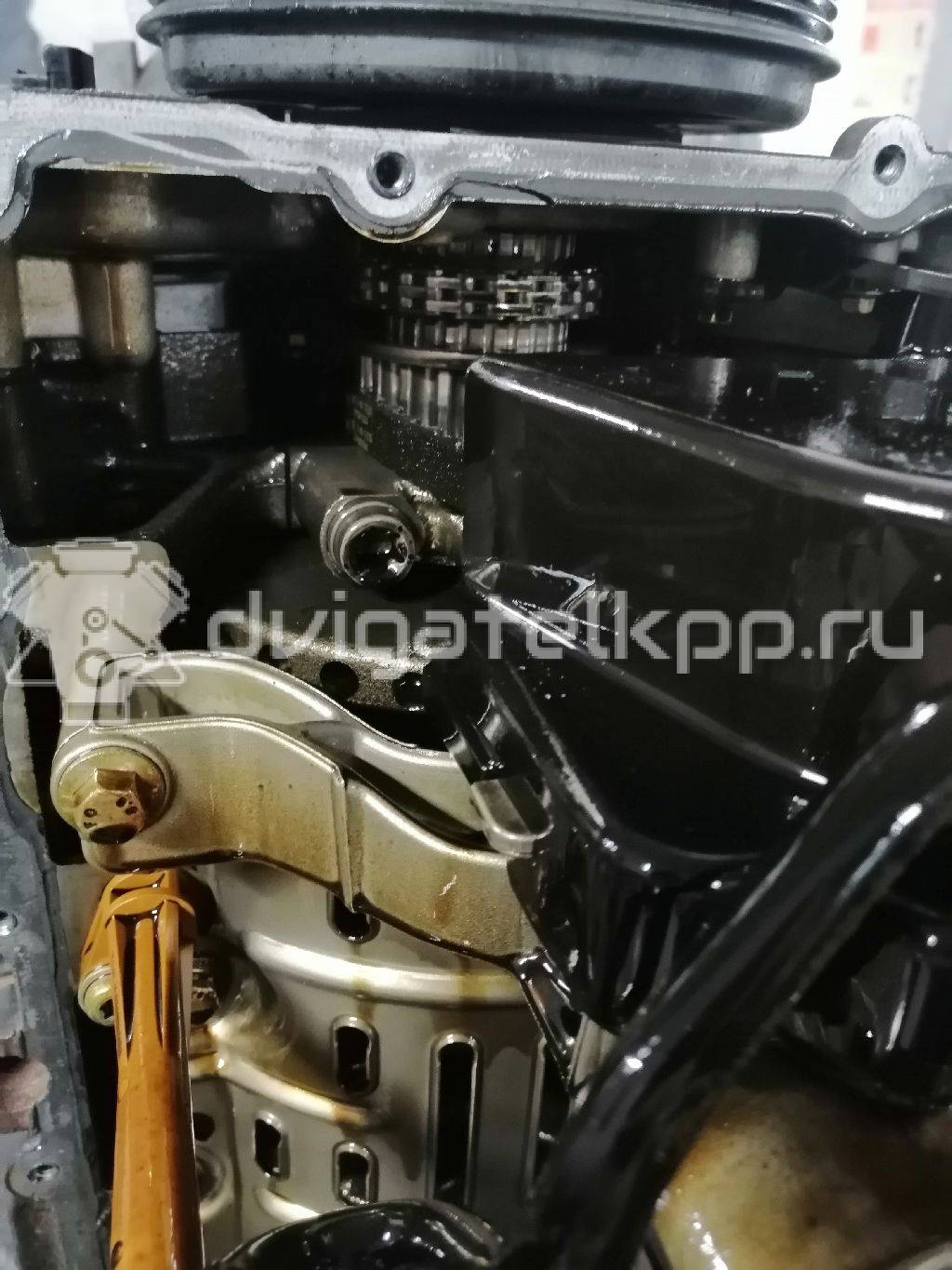 Фото Контрактный (б/у) двигатель F8 (12 V) для Ford Australia Spectron 91 л.с 12V 1.8 л бензин 2463343 {forloop.counter}}