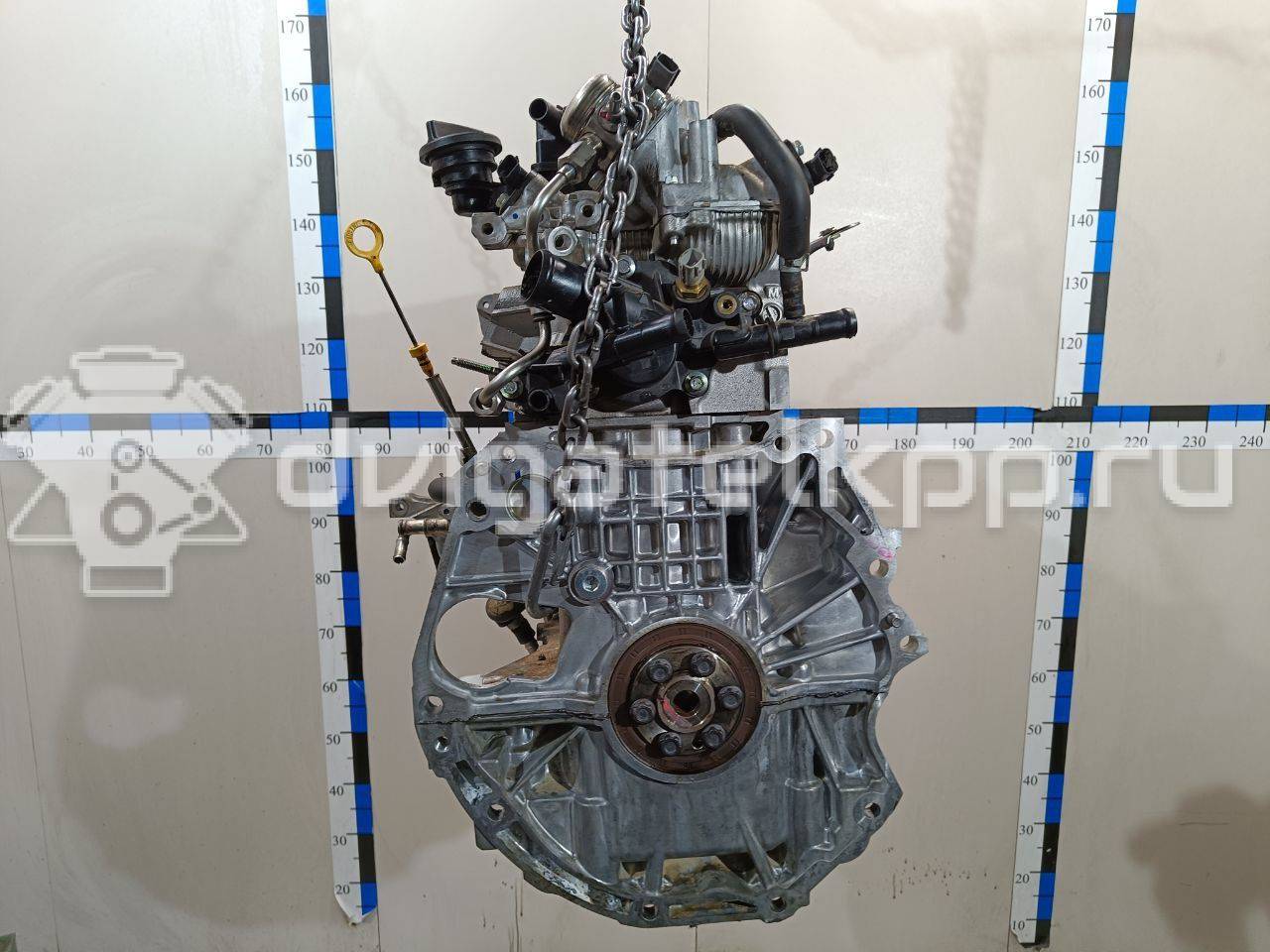 Фото Контрактный (б/у) двигатель MR20 для Suzuki / Nissan (Dongfeng) 150 л.с 16V 2.0 л бензин 101024EF1A {forloop.counter}}