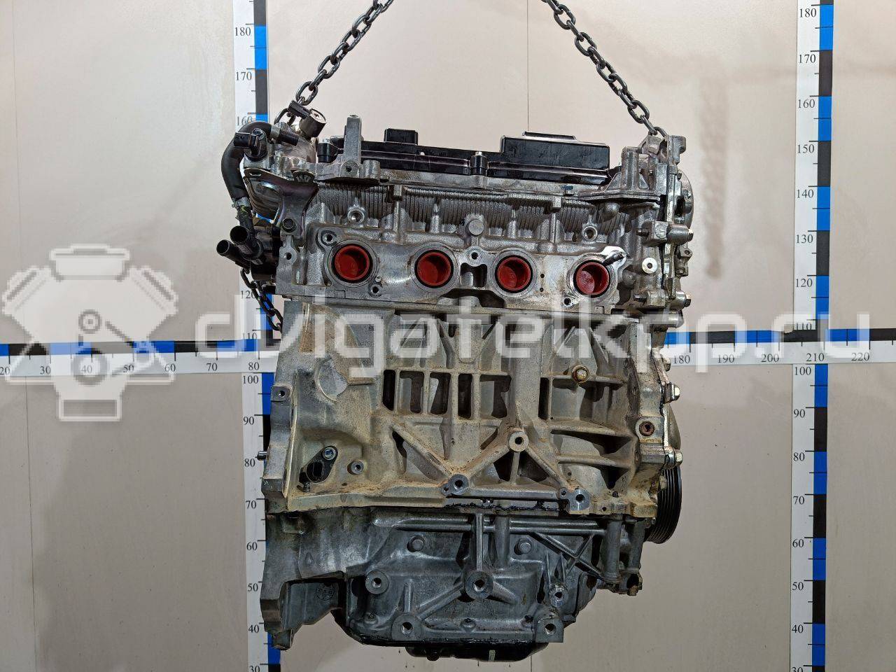 Фото Контрактный (б/у) двигатель MR20 для Suzuki / Nissan (Dongfeng) 150 л.с 16V 2.0 л бензин 101024EF1A {forloop.counter}}