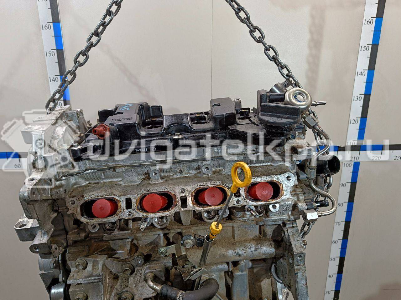 Фото Контрактный (б/у) двигатель MR20 для Suzuki / Nissan (Dongfeng) 150 л.с 16V 2.0 л бензин 101024EF1A {forloop.counter}}