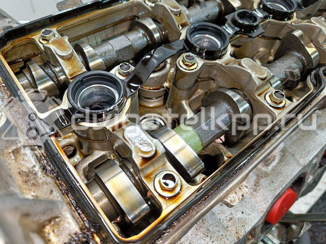 Фото Контрактный (б/у) двигатель MR20 для Suzuki / Nissan (Dongfeng) 150 л.с 16V 2.0 л бензин 101024EF1A {forloop.counter}}