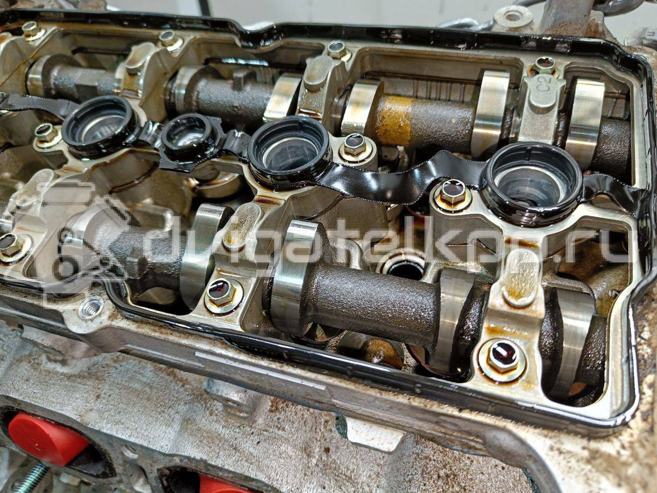 Фото Контрактный (б/у) двигатель MR20 для Suzuki / Nissan (Dongfeng) 150 л.с 16V 2.0 л бензин 101024EF1A {forloop.counter}}