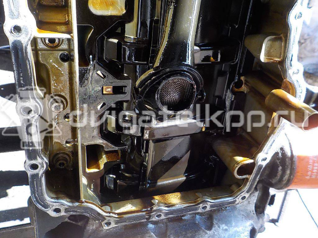 Фото Контрактный (б/у) двигатель CWVA для Volkswagen / Skoda / Seat 110 л.с 16V 1.6 л бензин 04E100037C {forloop.counter}}