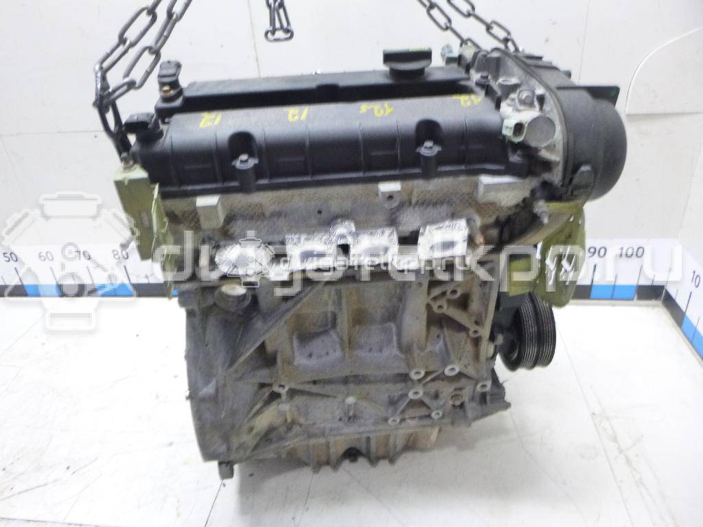 Фото Контрактный (б/у) двигатель PNDA для Ford / Ford Australia 125 л.с 16V 1.6 л бензин 1727626 {forloop.counter}}