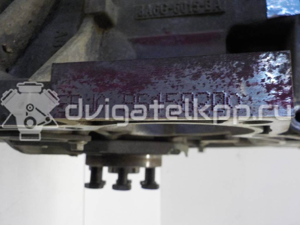 Фото Контрактный (б/у) двигатель SPJA для Ford Australia Fiesta 97 л.с 16V 1.4 л бензин 1713349 {forloop.counter}}