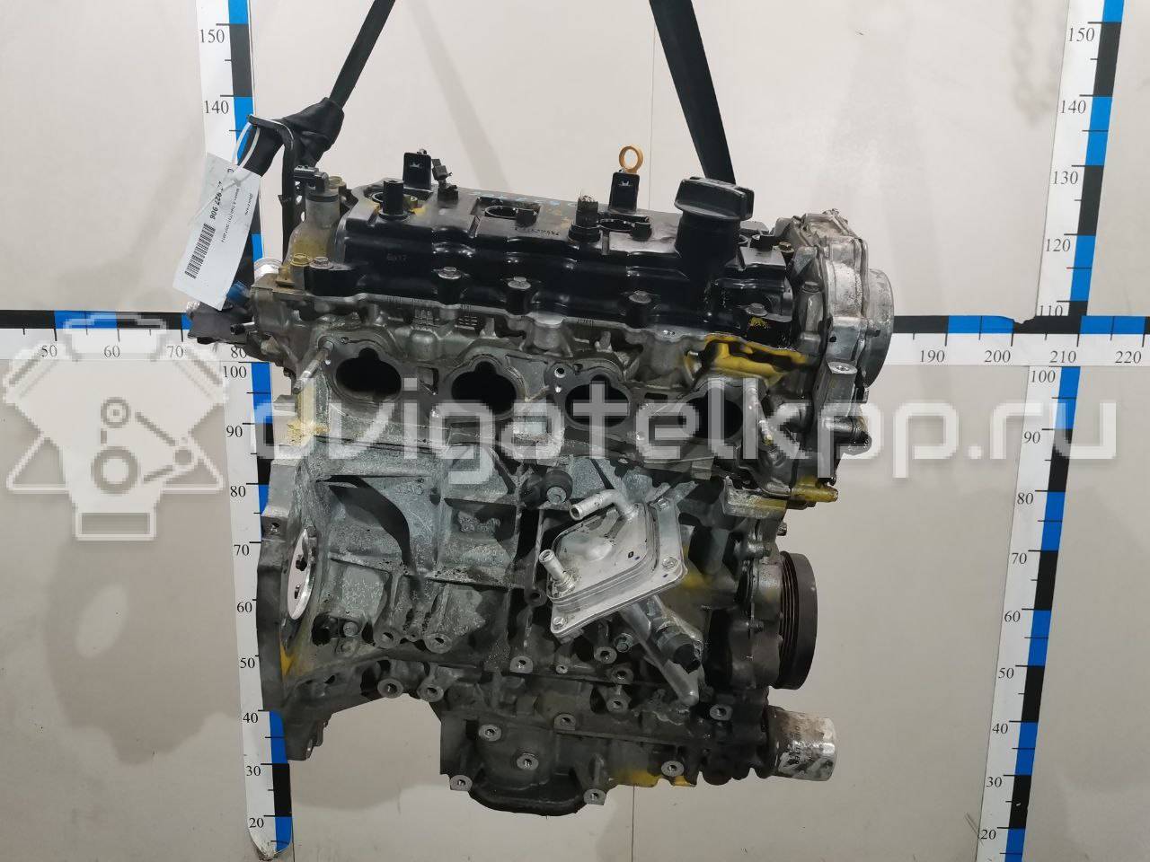 Фото Контрактный (б/у) двигатель QR25DE для Nissan (Dongfeng) / Suzuki / Mitsuoka / Nissan 141-182 л.с 16V 2.5 л бензин 10102JC20B {forloop.counter}}