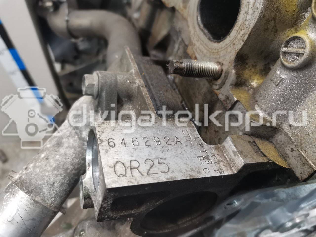 Фото Контрактный (б/у) двигатель QR25 для Infiniti / Nissan / Nissan (Dongfeng) 184 л.с 16V 2.5 л бензин 10102JC20B {forloop.counter}}