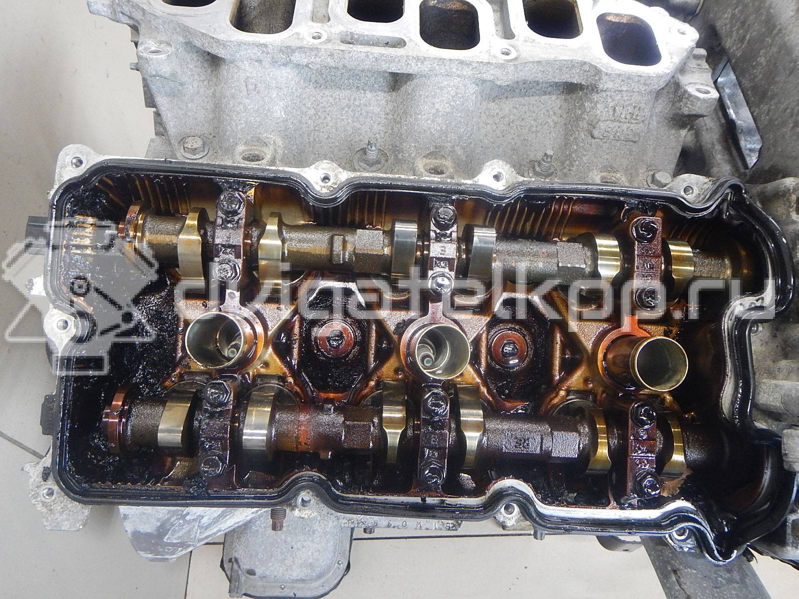 Фото Контрактный (б/у) двигатель VQ40DE для Suzuki / Nissan 264-295 л.с 24V 4.0 л бензин 10102EA200 {forloop.counter}}