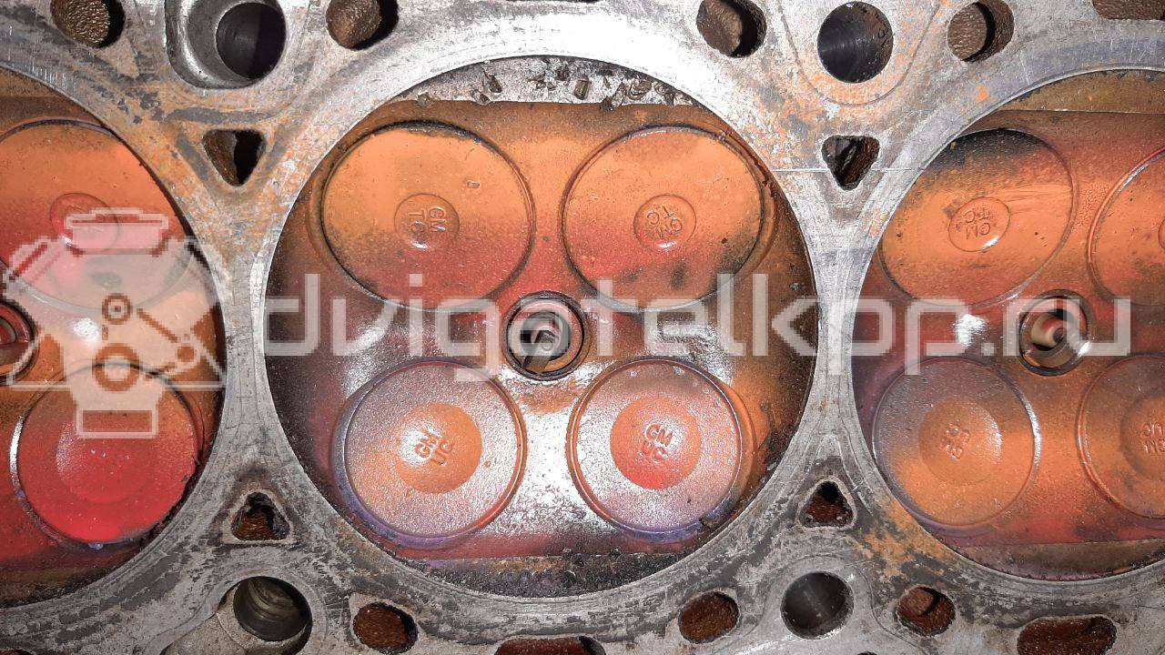 Фото Головка блока  55565451 для Vauxhall / Saturn / Chevrolet / Holden / Daewoo / Opel / Chevrolet (Sgm) {forloop.counter}}