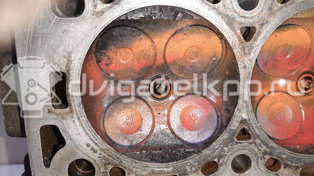 Фото Головка блока  55565451 для Vauxhall / Saturn / Chevrolet / Holden / Daewoo / Opel / Chevrolet (Sgm) {forloop.counter}}