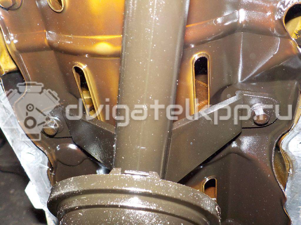 Фото Контрактный (б/у) двигатель CT для Volkswagen / Ford (Changan) 110 л.с 16V 1.5 л бензин 1727626 {forloop.counter}}