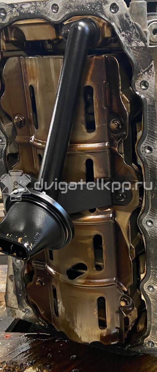 Фото Контрактный (б/у) двигатель CT для Volkswagen / Ford (Changan) 110 л.с 16V 1.5 л бензин 1685722 {forloop.counter}}