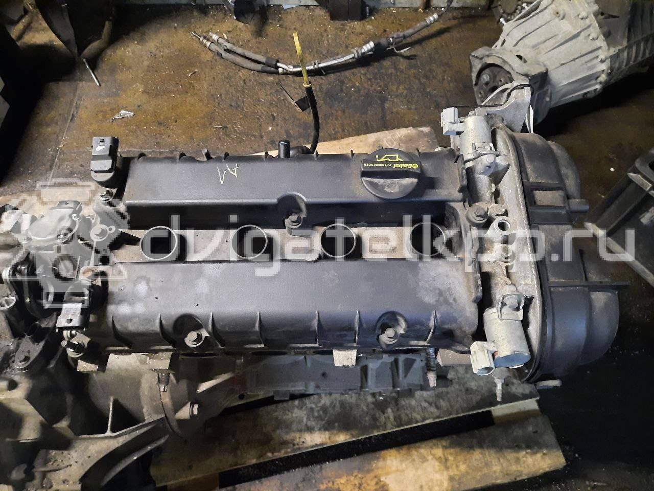 Фото Контрактный (б/у) двигатель PNDA для Ford Australia Focus 125 л.с 16V 1.6 л бензин 1727626 {forloop.counter}}