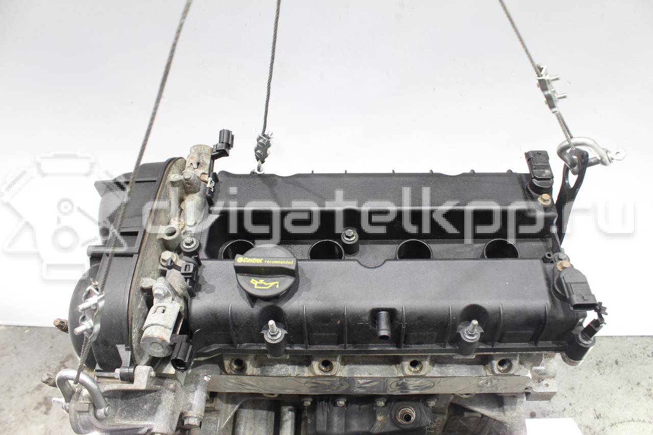 Фото Контрактный (б/у) двигатель PNDA для Ford Australia Focus 125 л.с 16V 1.6 л бензин 1752082 {forloop.counter}}