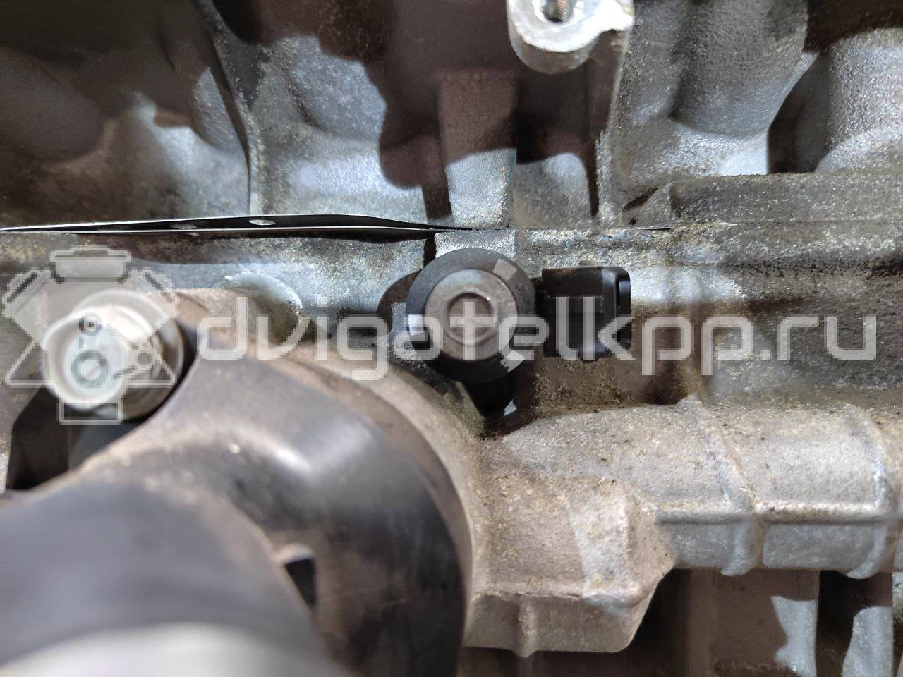 Фото Контрактный (б/у) двигатель HR16DE для Dongfeng (Dfac) / Nissan (Zhengzhou) / Samsung / Mazda / Nissan / Mitsubishi / Nissan (Dongfeng) 87-140 л.с 16V 1.6 л Бензин/спирт 101021KA0F {forloop.counter}}