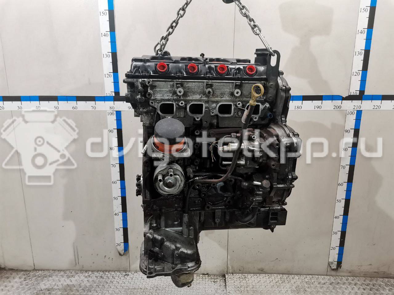 Фото Контрактный (б/у) двигатель YD25DDTi для Nissan Bassara / Nv350 E26 / Serena / Sani / Presage 100-190 л.с 16V 2.5 л Дизельное топливо 10102EB30A {forloop.counter}}